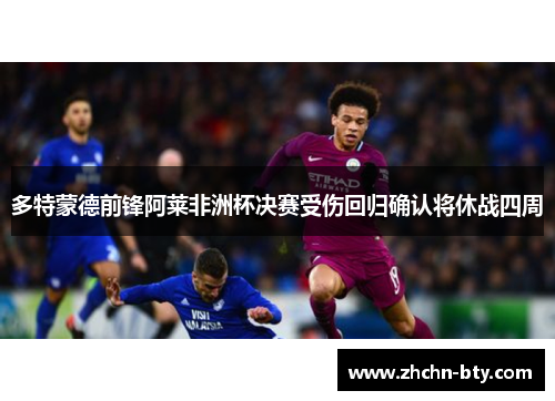 多特蒙德前锋阿莱非洲杯决赛受伤回归确认将休战四周